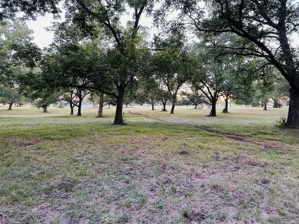 28.1 acres in Cooke County - photo 8
