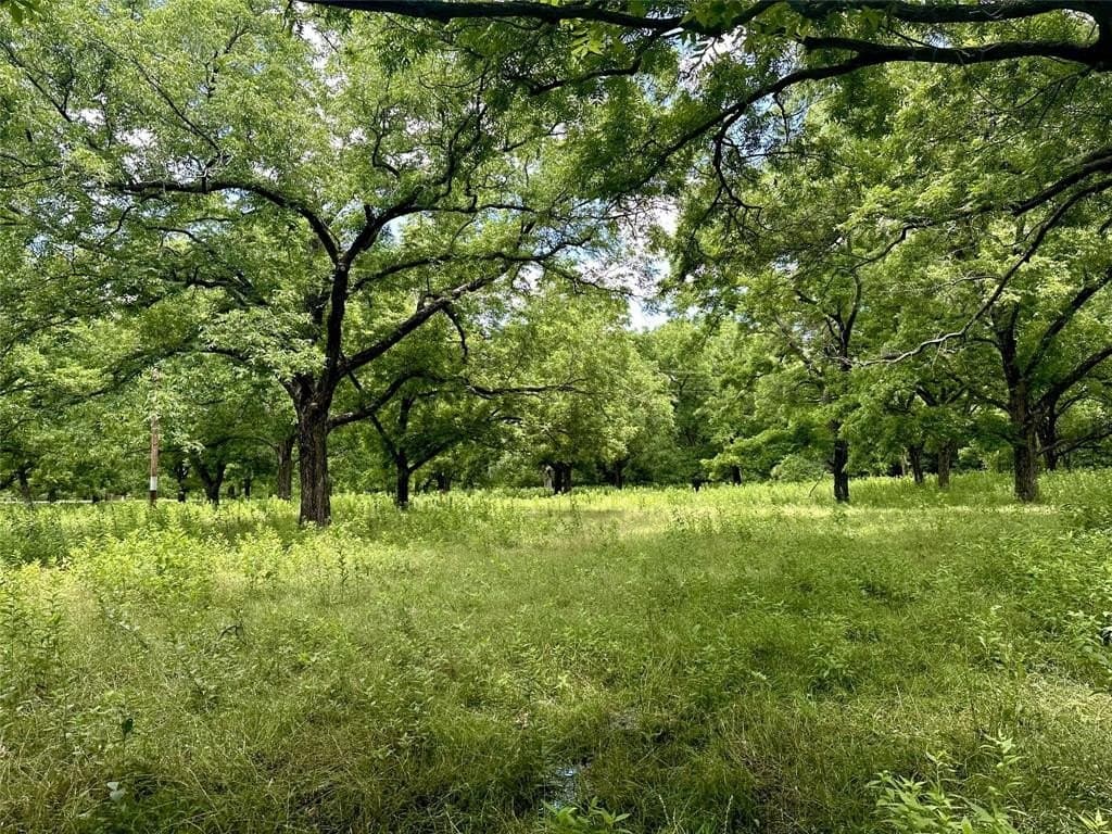 28.1 acres in Cooke County - photo 7