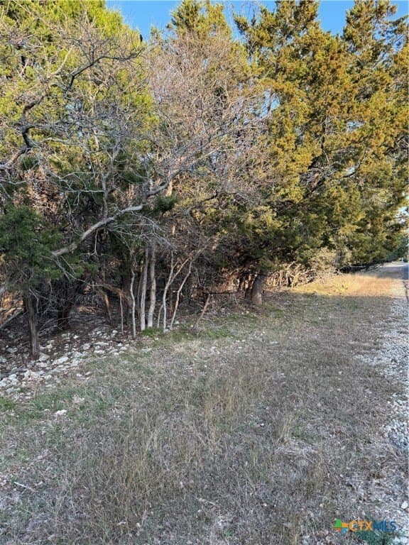 0.38 acres in Bell County - photo 4
