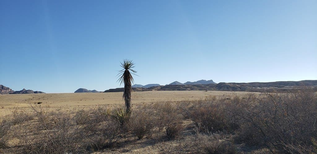 20 acres in Brewster County - photo 13