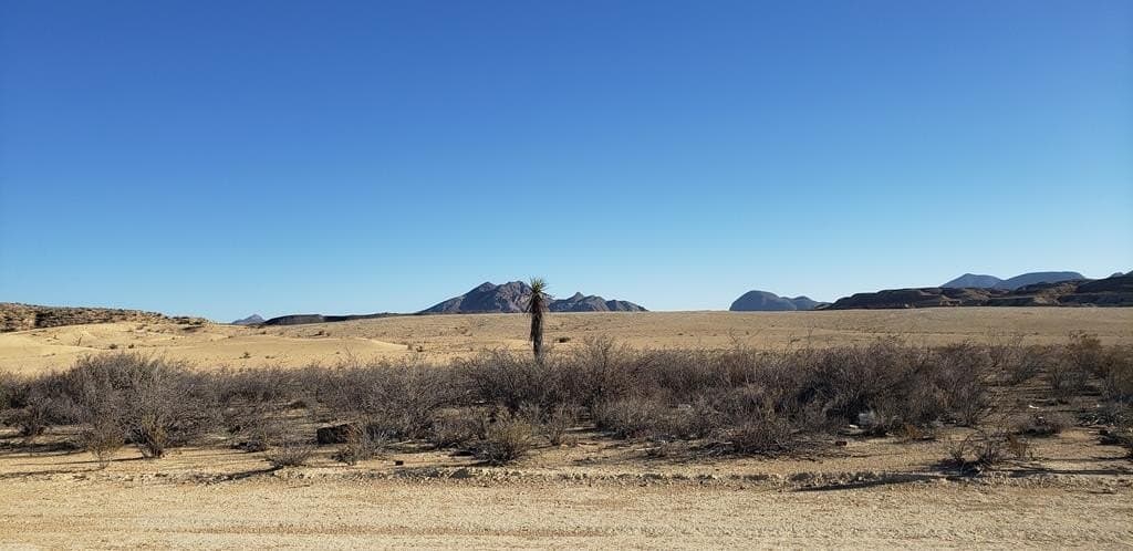 20 acres in Brewster County - photo 24