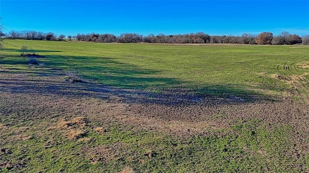 159.49 acres in Montague County - photo 11