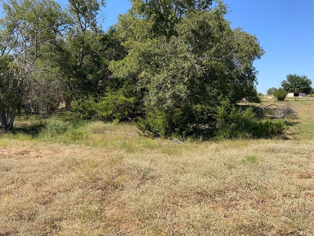 5 acres in Lee County - photo 5
