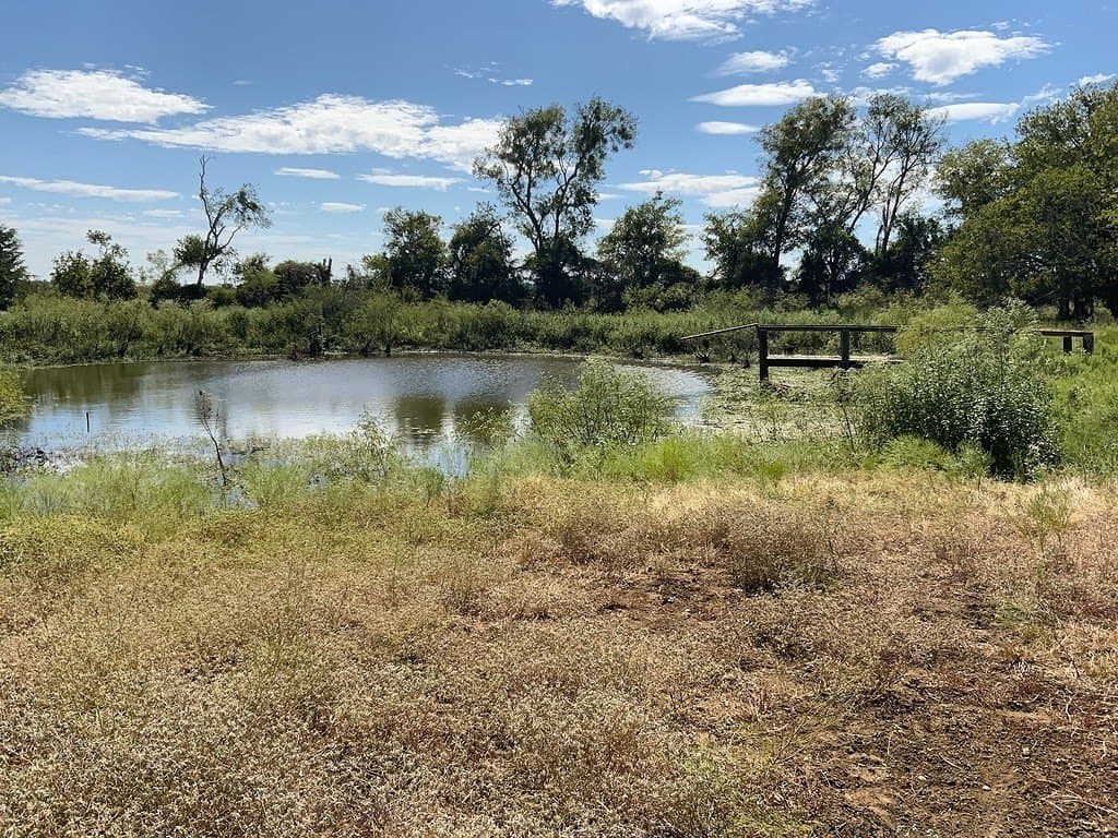 5 acres in Lee County - photo 4