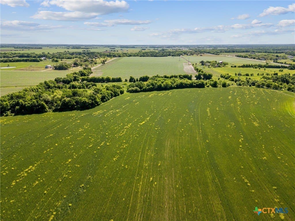 39.88 acres in Bell County - photo 3