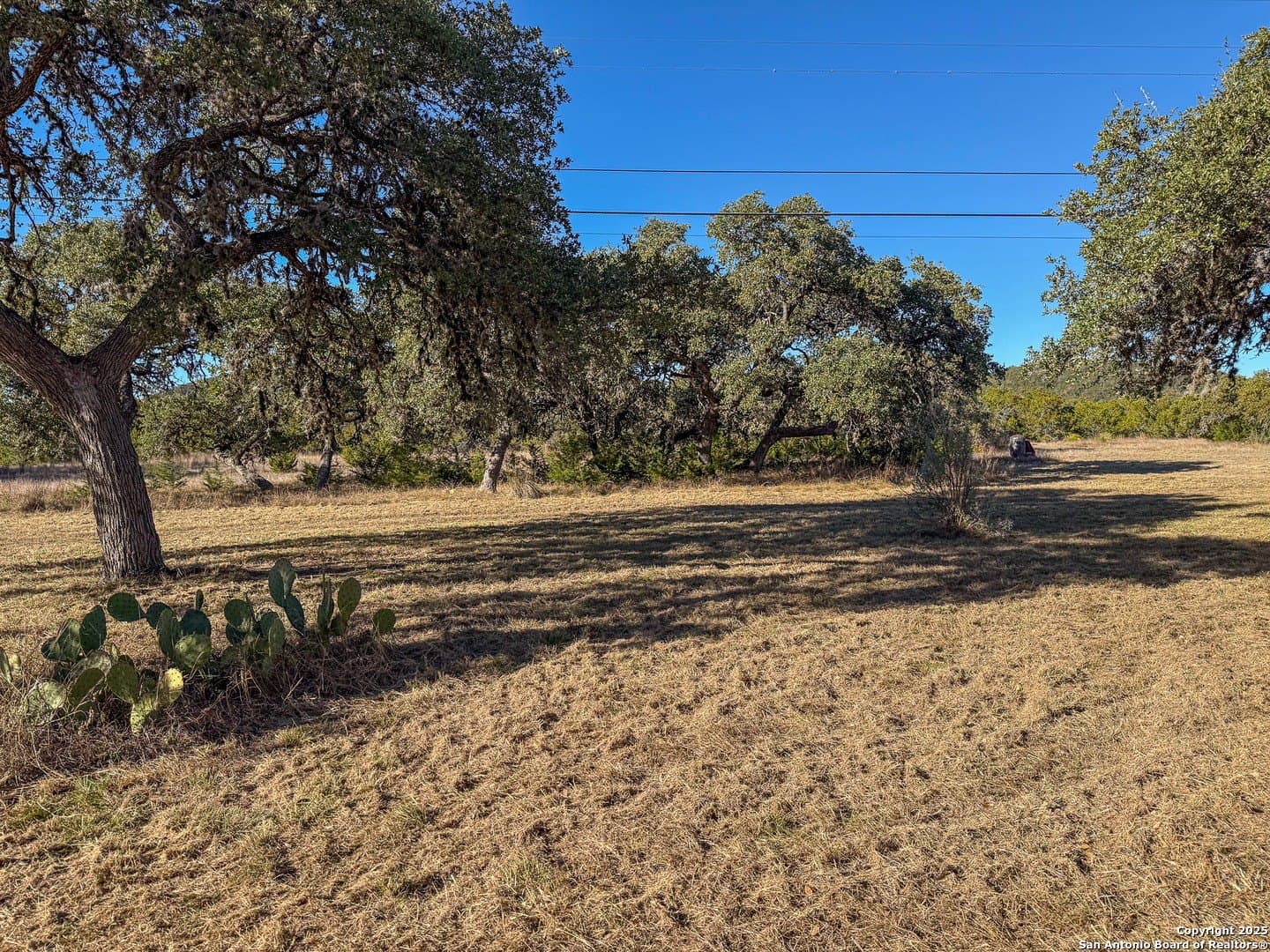 15.29 acres in Bandera County - photo 4