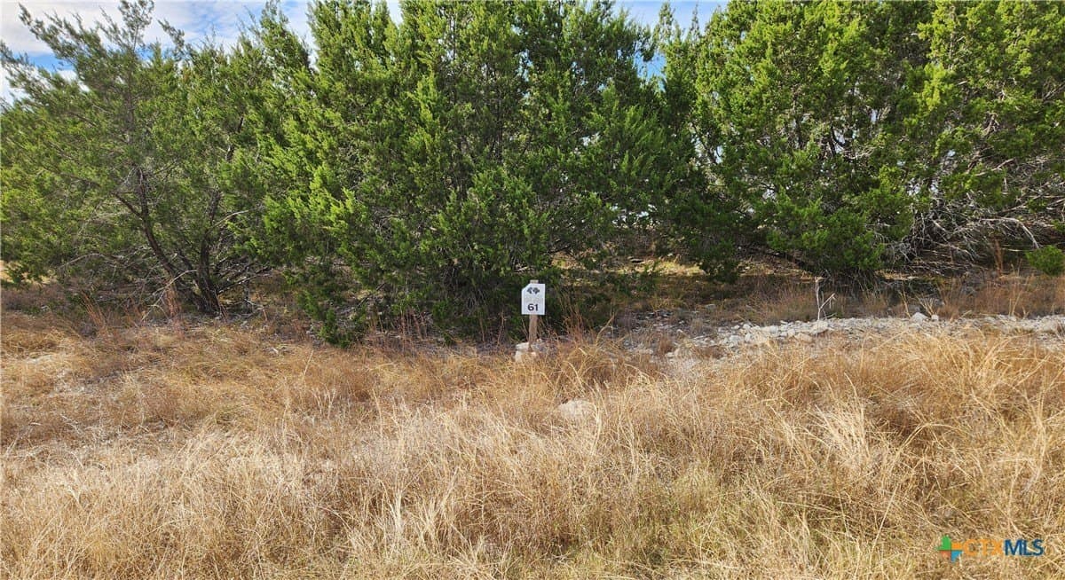 6.8 acres in Burnet County - photo 3