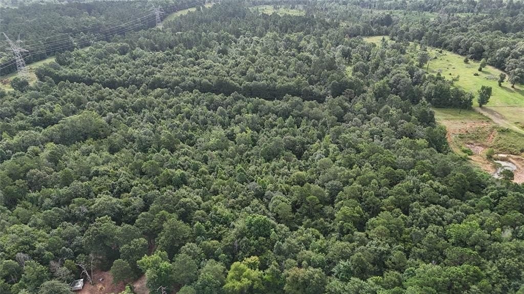 12.46 acres in Smith County - photo 3