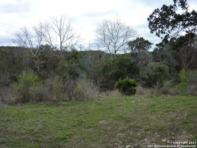 32.62 acres in Bexar County - photo 2