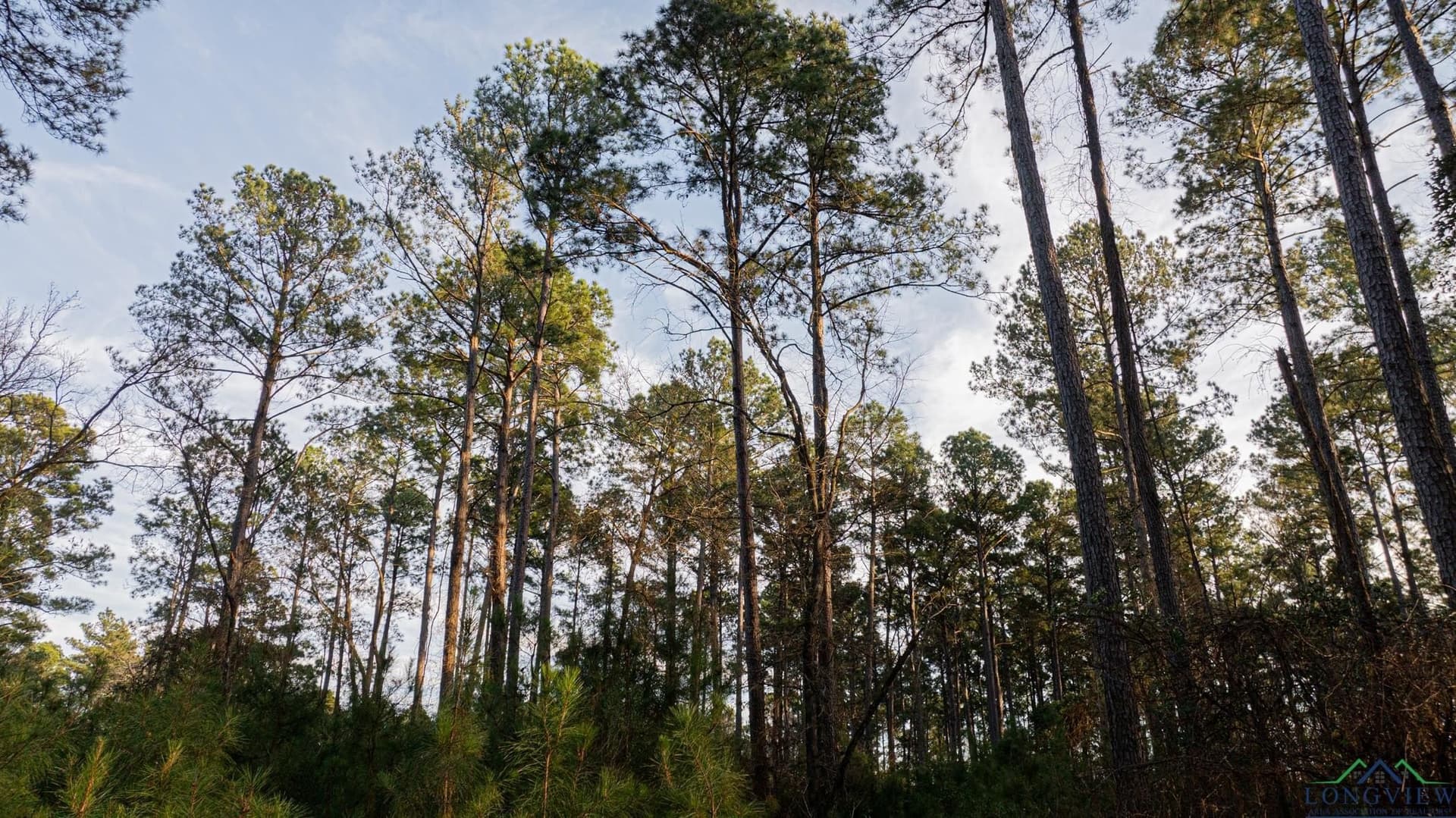 99.61 acres in Texas County - photo 16