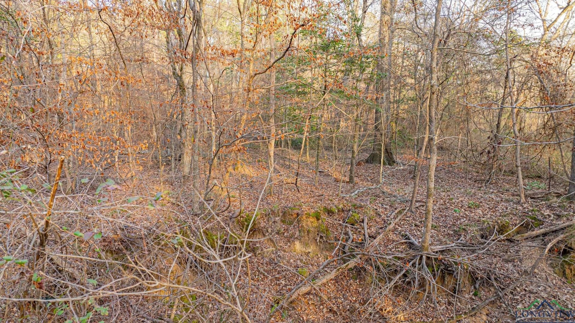 99.61 acres in Texas County - photo 12