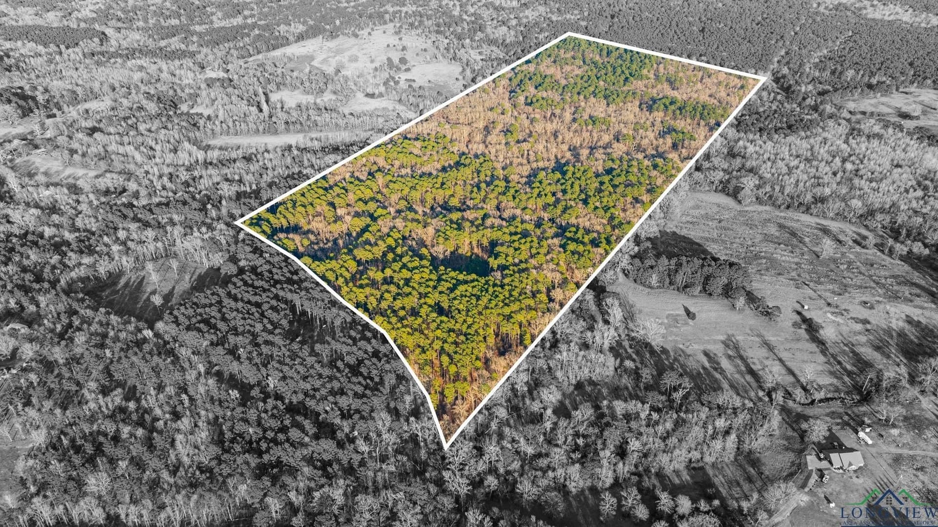 99.61 acres in Texas County - photo 10