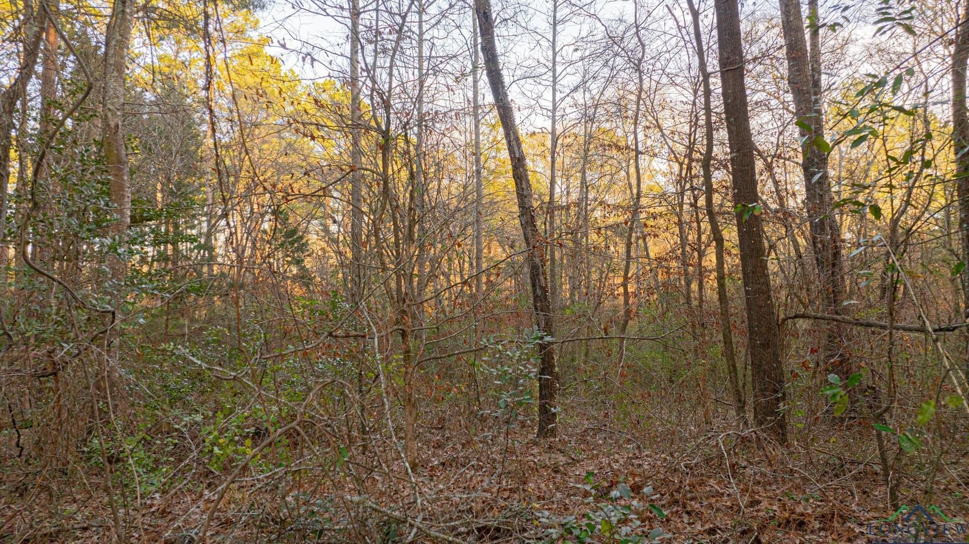 99.61 acres in Texas County - photo 19