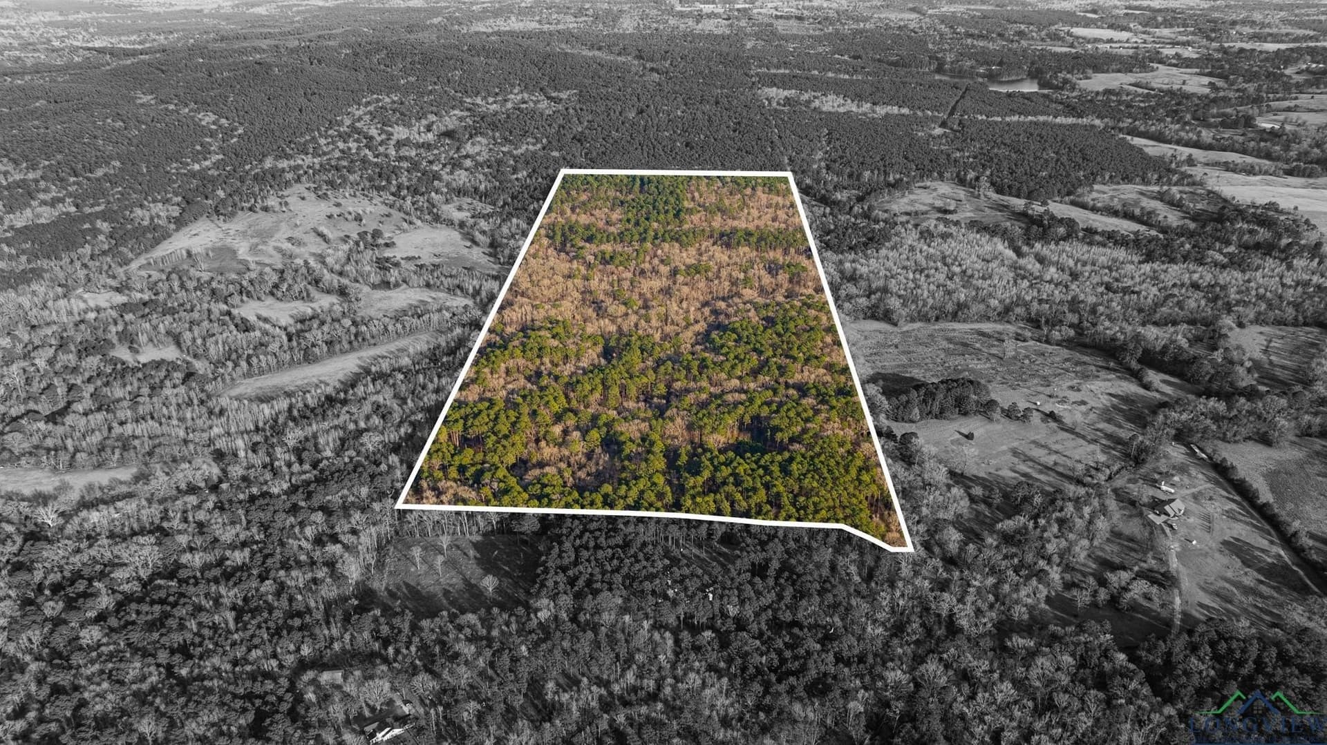 99.61 acres in Texas County - photo 3