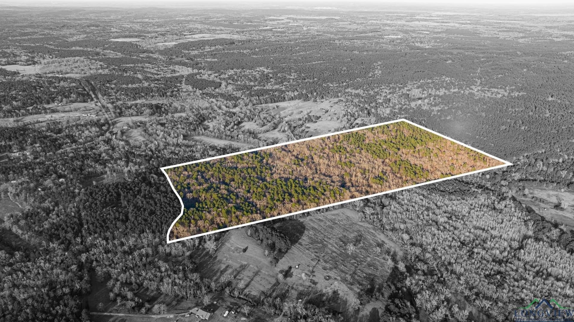 99.61 acres in Texas County - photo 7