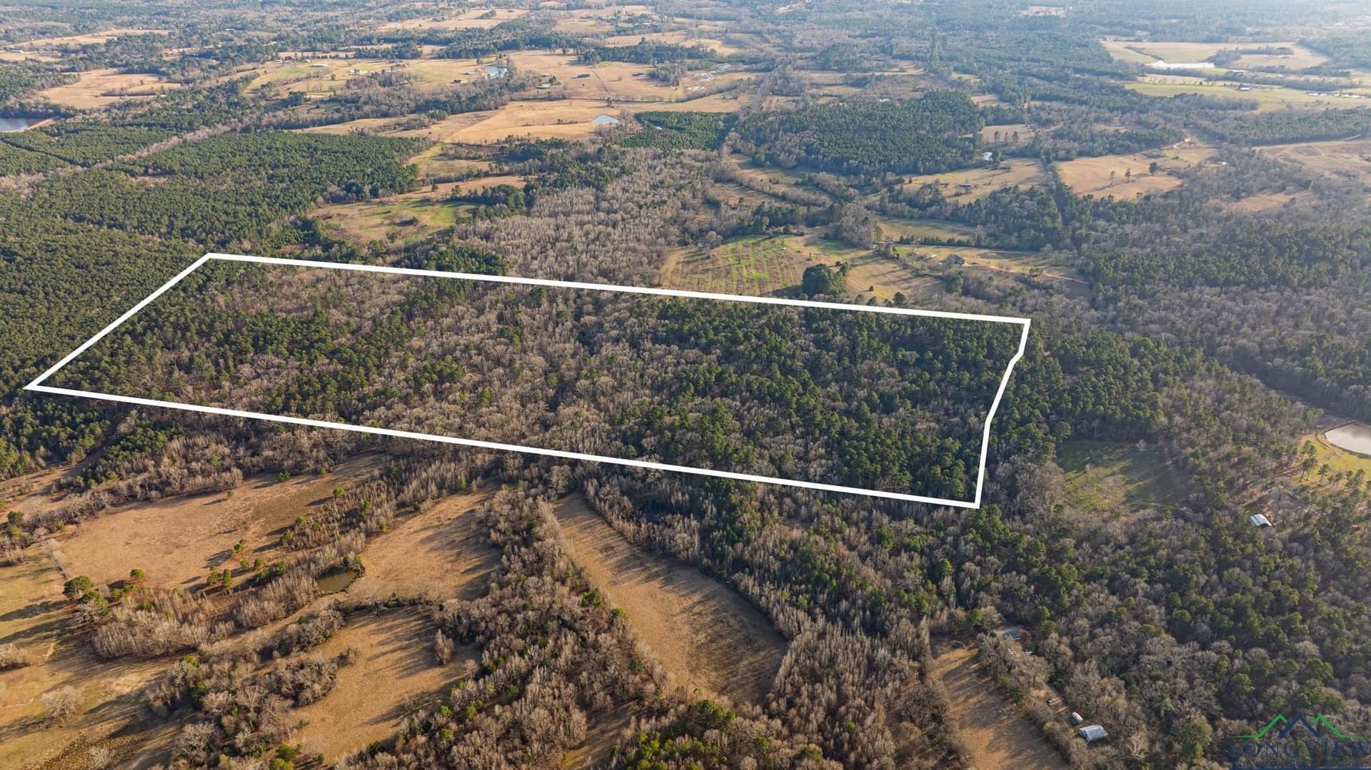 99.61 acres in Texas County - photo 5
