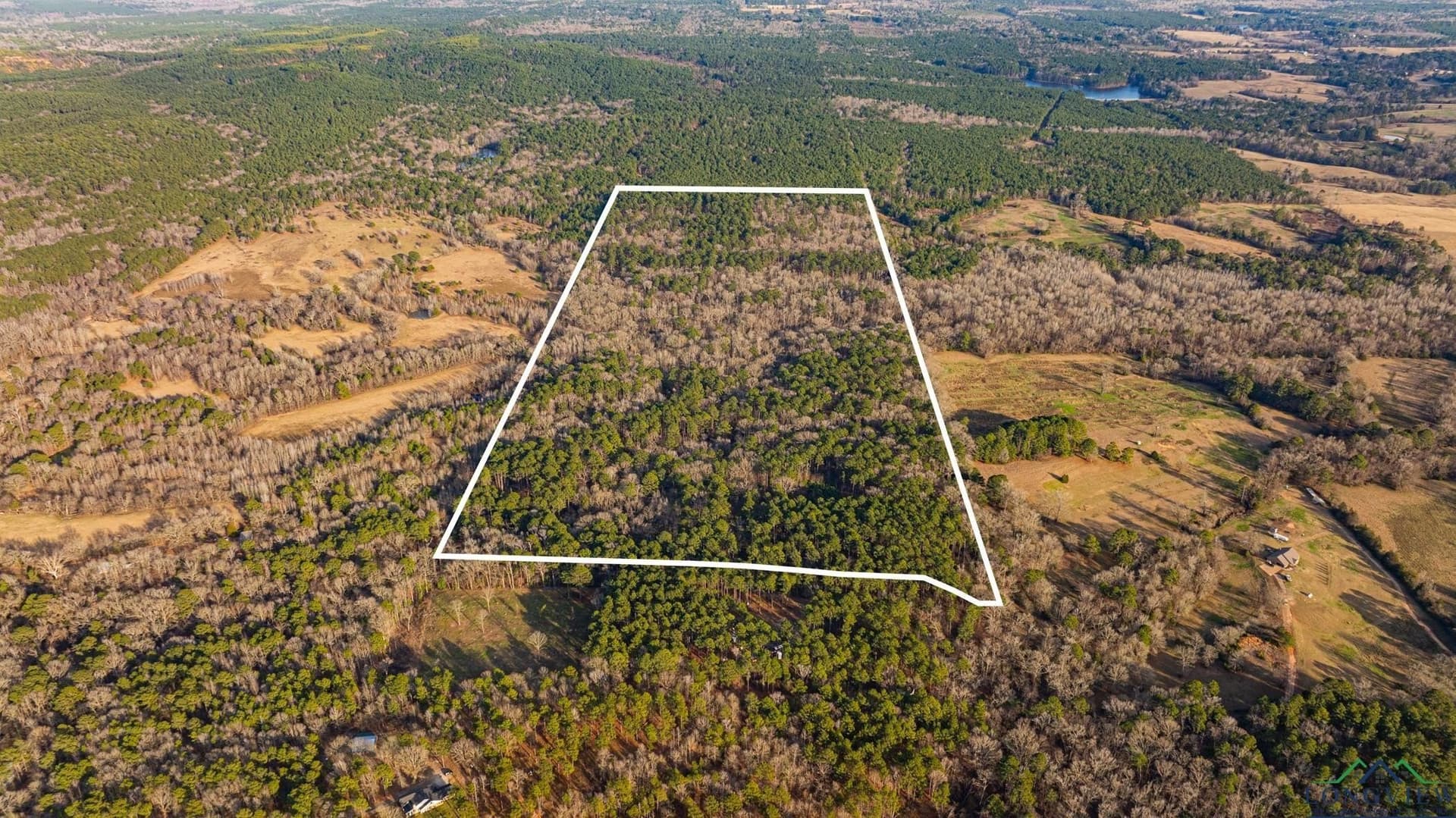 99.61 acres in Texas County - photo 2
