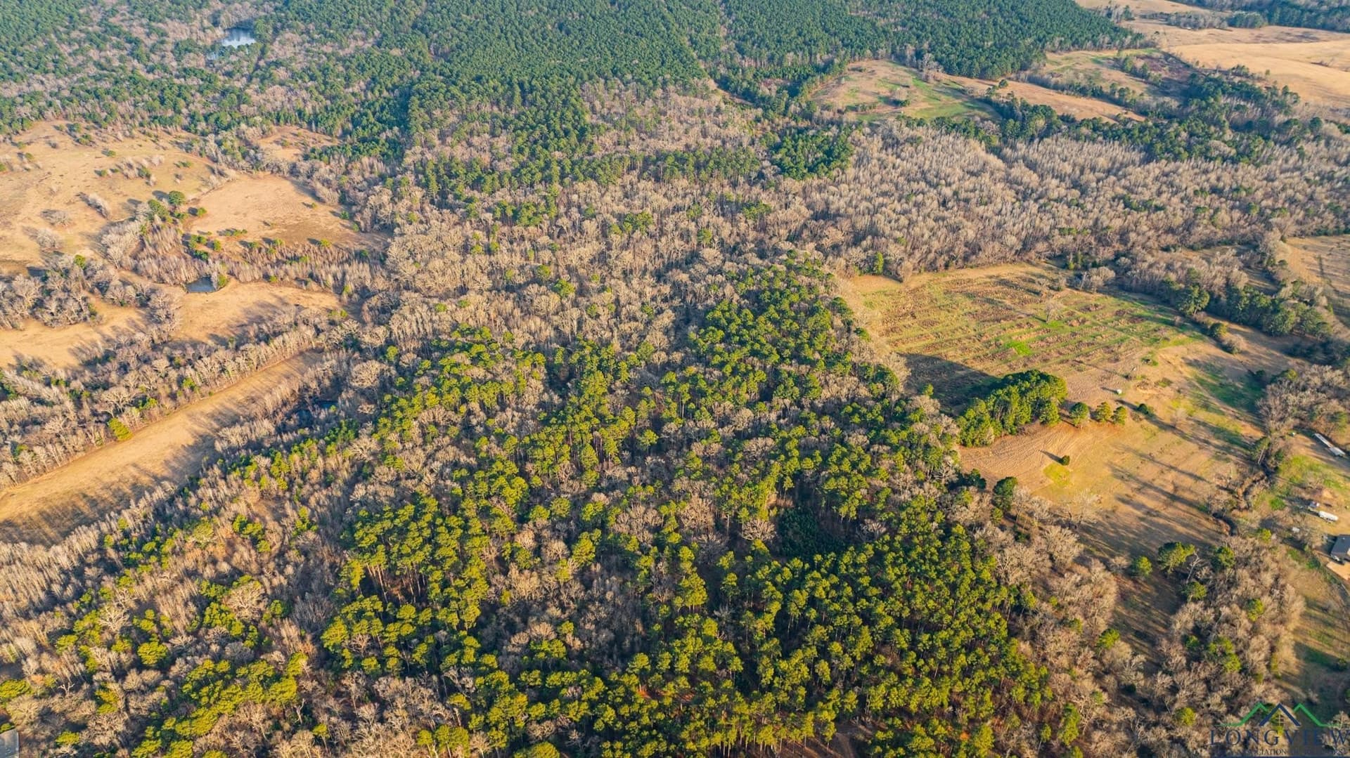 99.61 acres in Texas County - photo 9