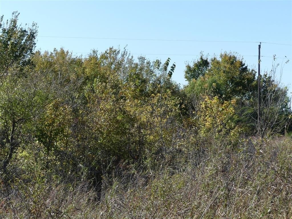 20 acres in Montague County - photo 13