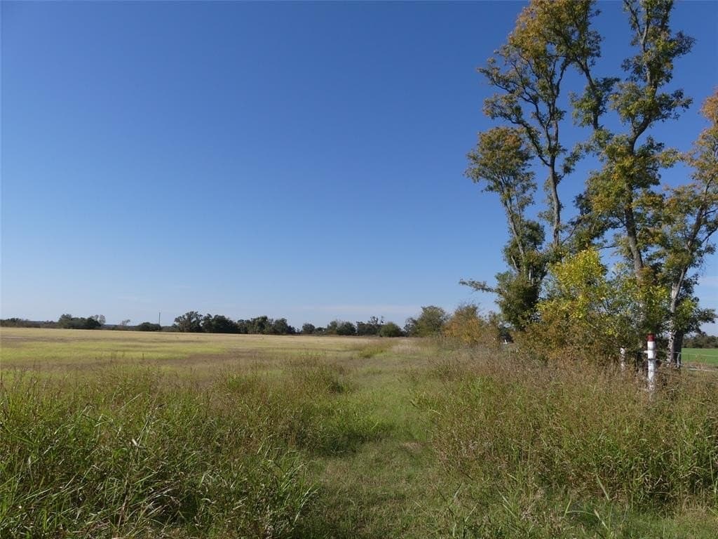 20 acres in Montague County - photo 6