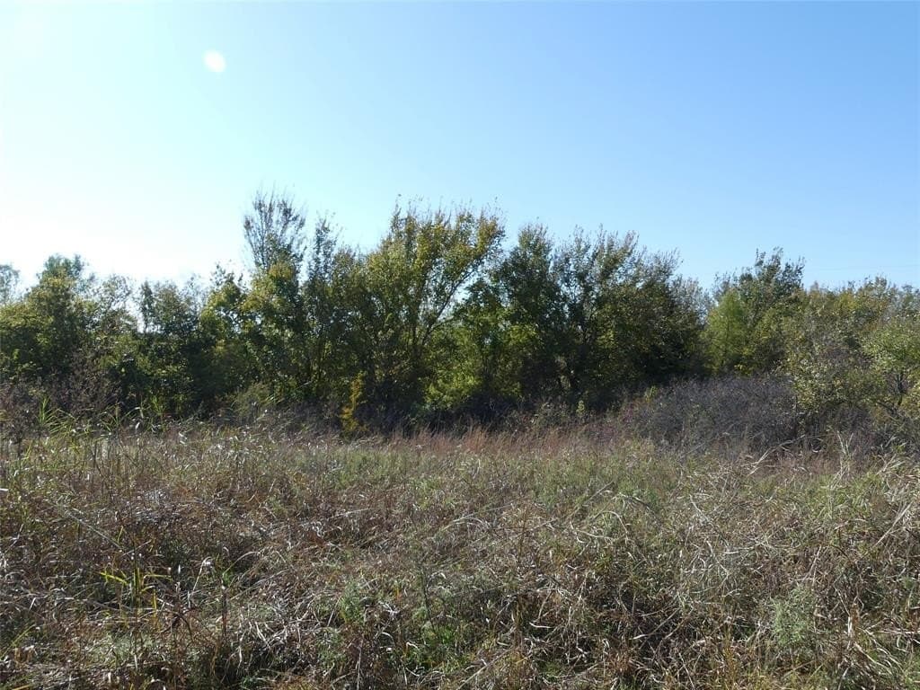 20 acres in Montague County - photo 12