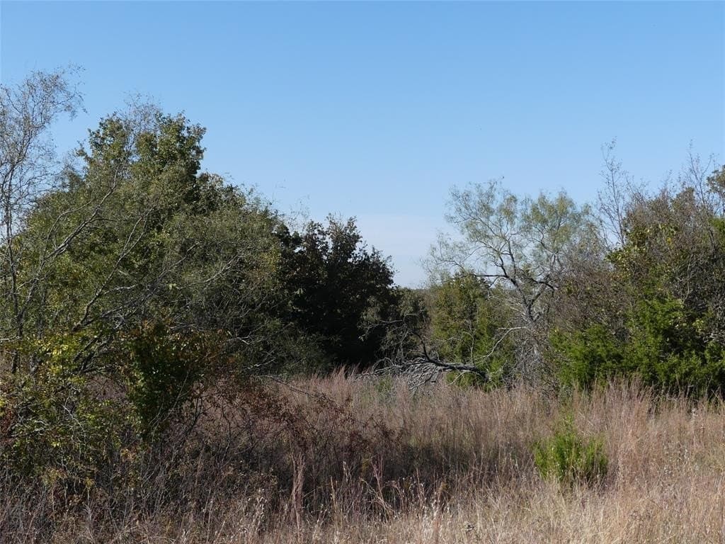 20 acres in Montague County - photo 22