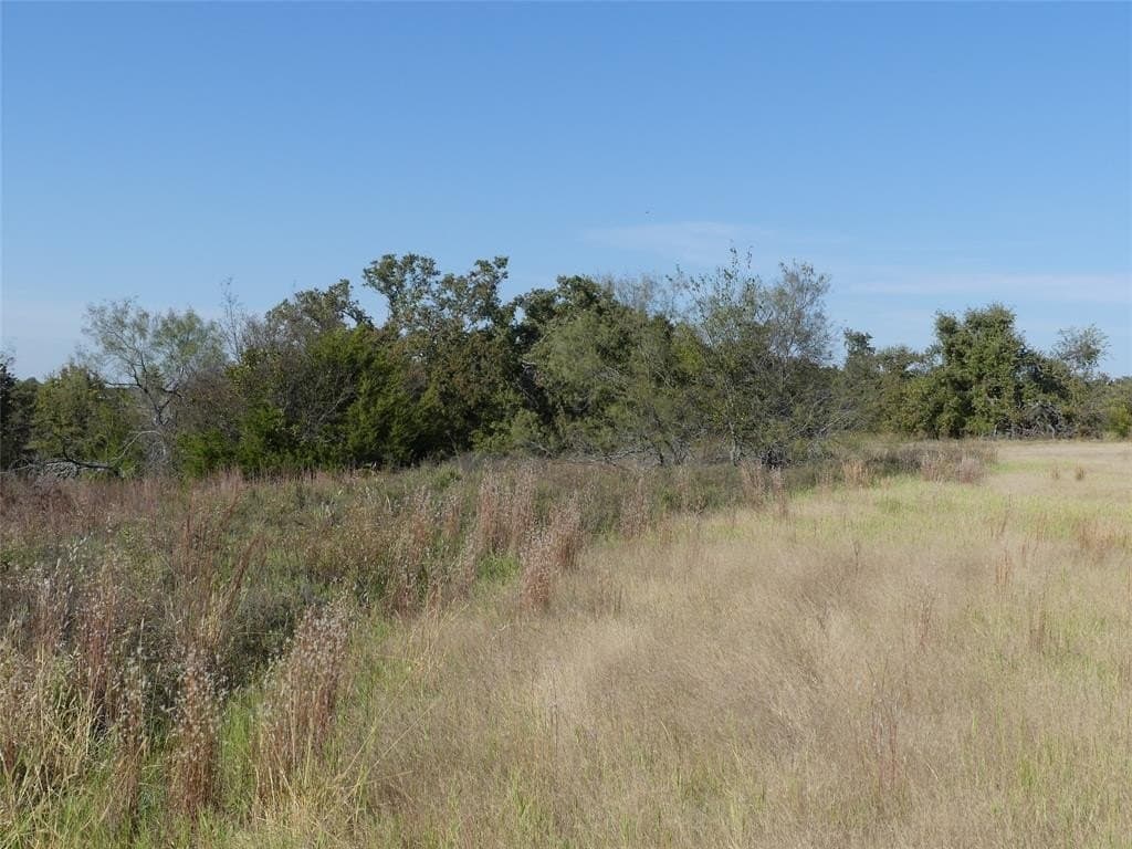 20 acres in Montague County - photo 19