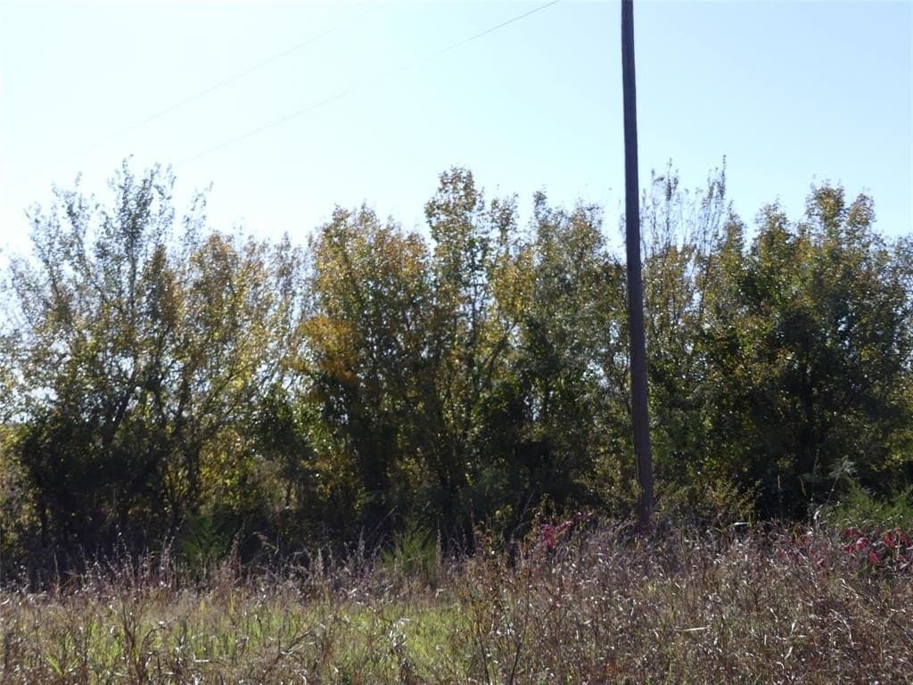 20 acres in Montague County - photo 14