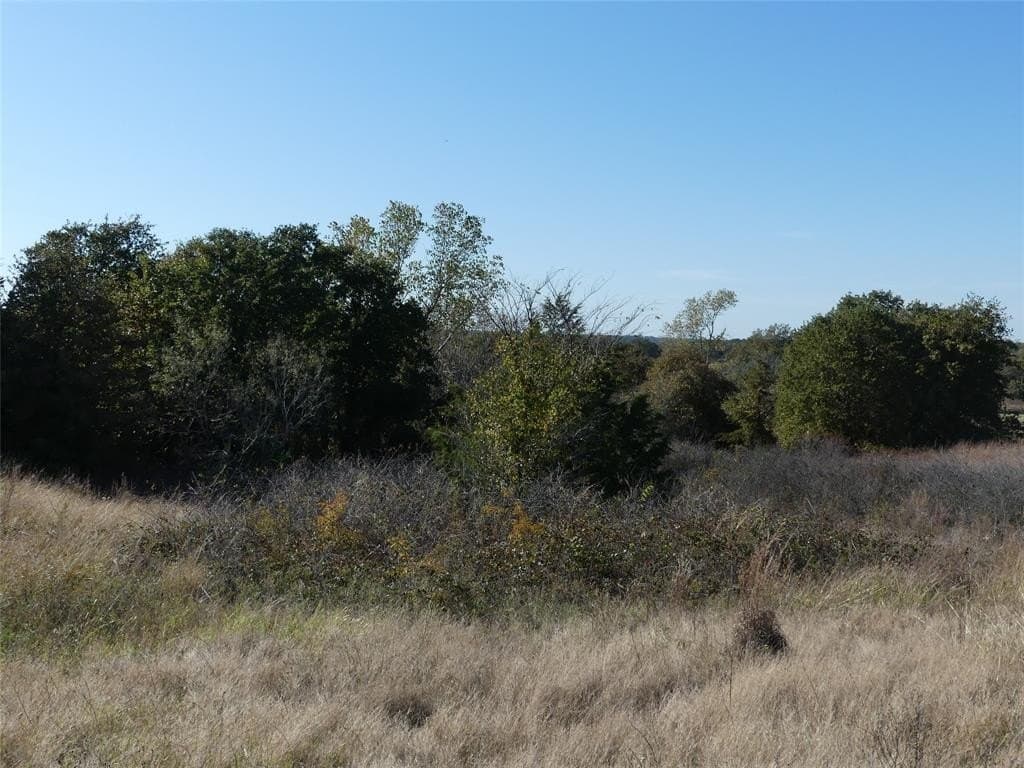 20 acres in Montague County - photo 23