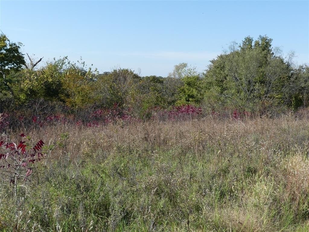 20 acres in Montague County - photo 18
