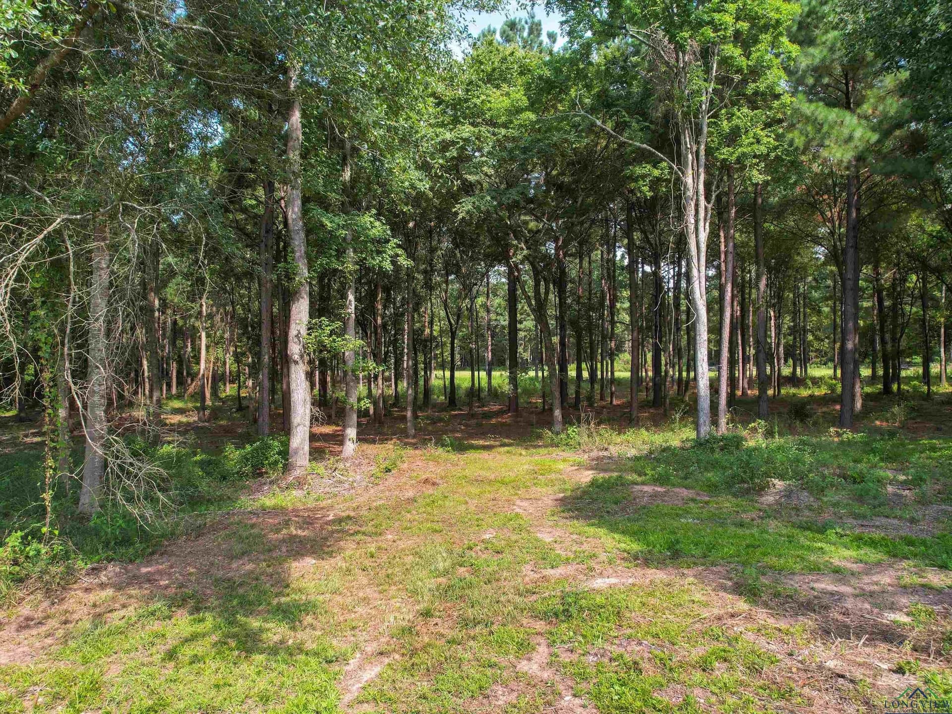 10 acres in Texas County - photo 8