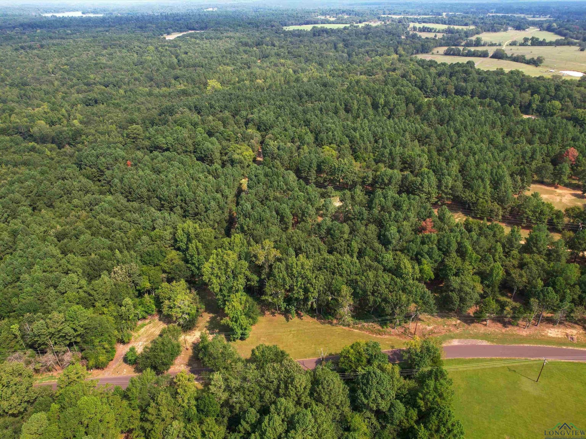 10 acres in Texas County - photo 4