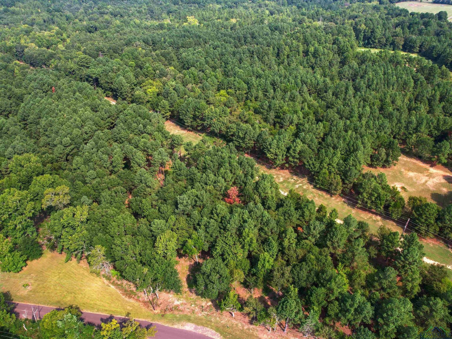 10 acres in Texas County - photo 5