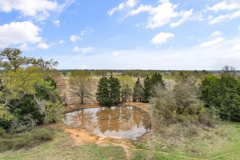 63.6 acres in Freestone County - photo 24