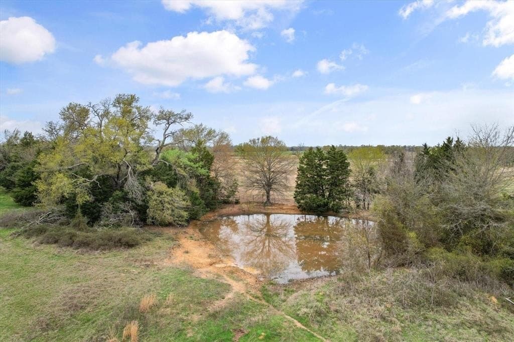 63.6 acres in Freestone County - photo 23