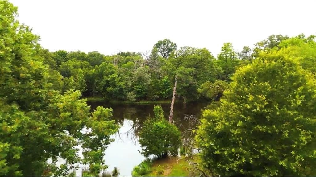 176.91 acres in Van Zandt County - photo 6