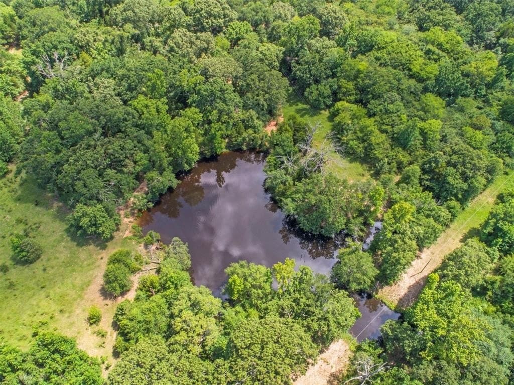 176.91 acres in Van Zandt County - photo 7