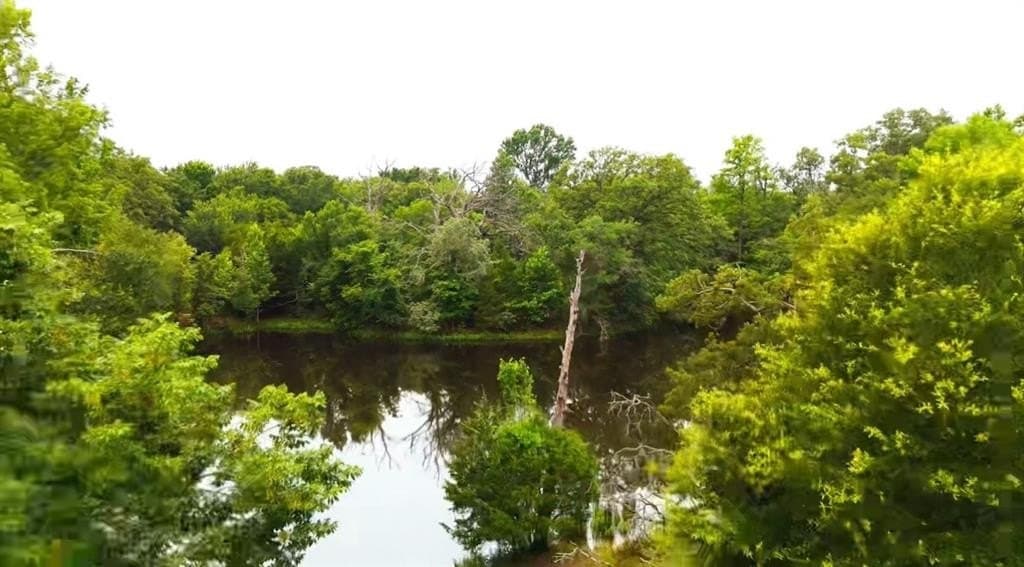 176.91 acres in Van Zandt County - photo 5