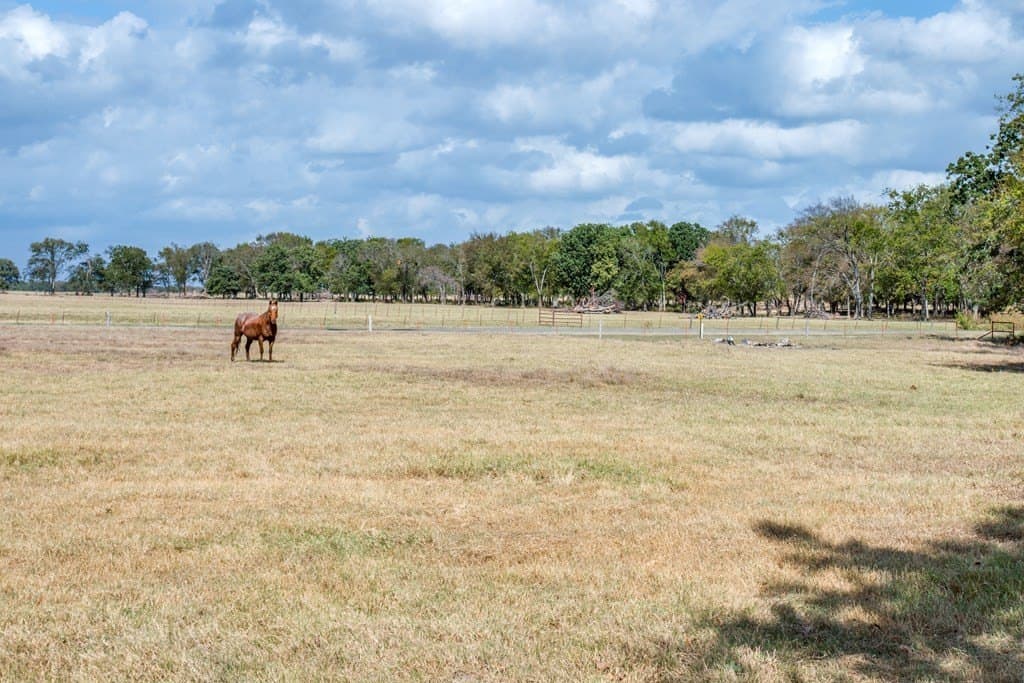 57.51 acres in Van Zandt County - photo 37