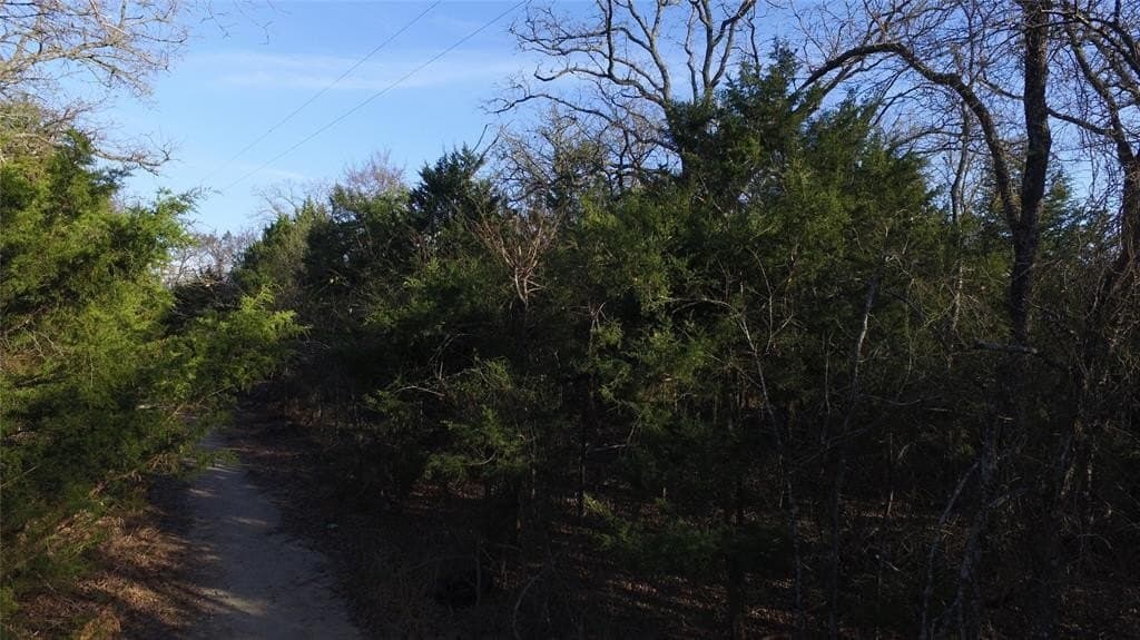 0 acres in Henderson County - photo 7