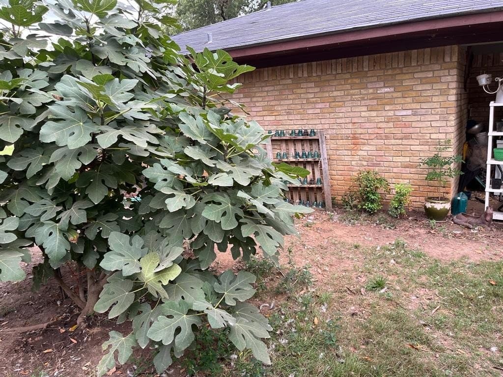 19.82 acres in Van Zandt County - photo 4