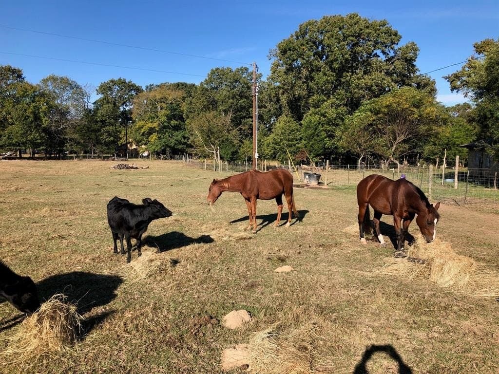 19.82 acres in Van Zandt County - photo 9