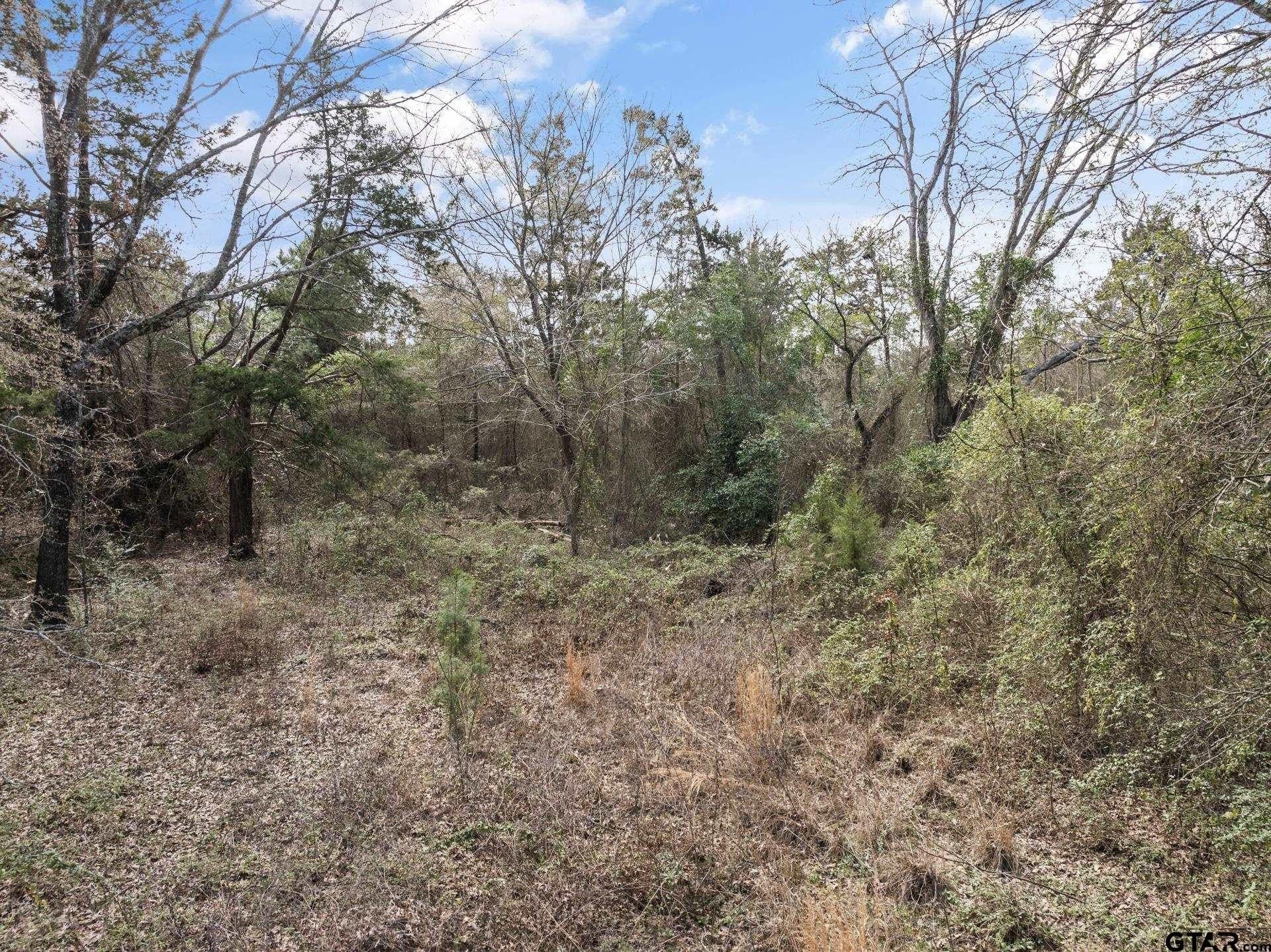 15.58 acres in Upshur County - photo 8