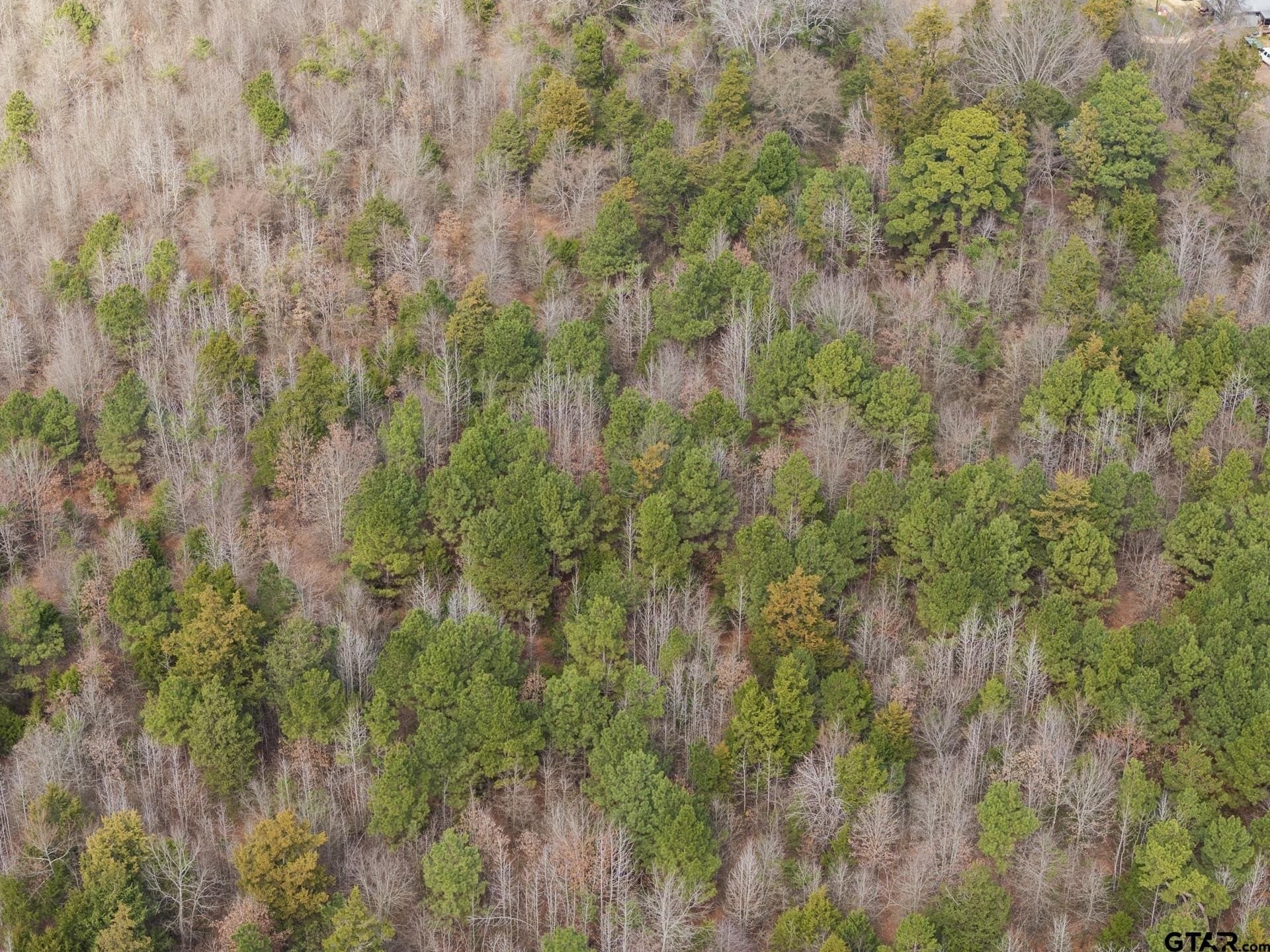 15.58 acres in Upshur County - photo 9