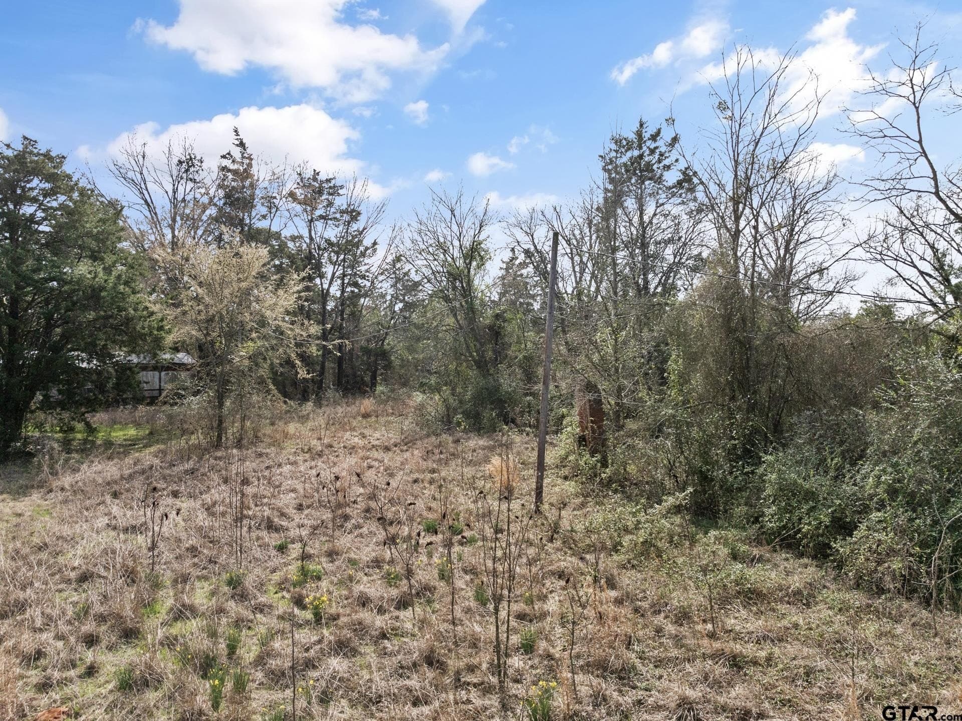 15.58 acres in Upshur County - photo 11