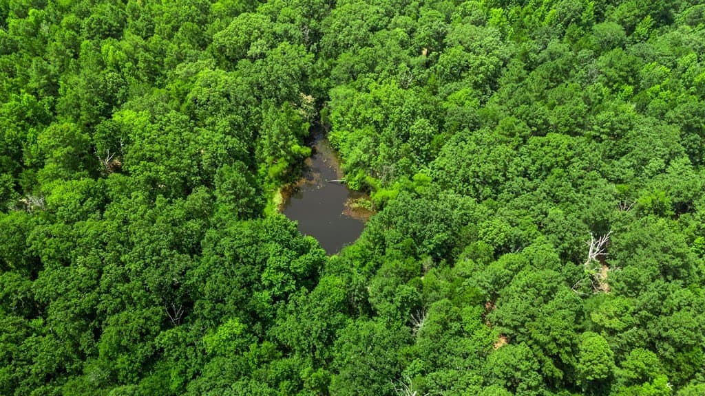 25.77 acres in Wood County - photo 6