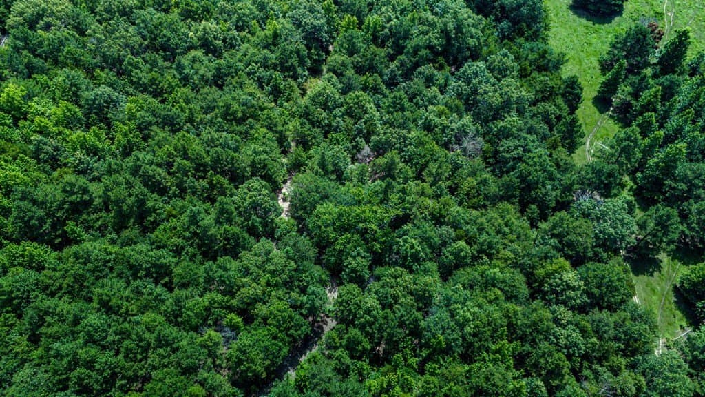 25.77 acres in Wood County - photo 5
