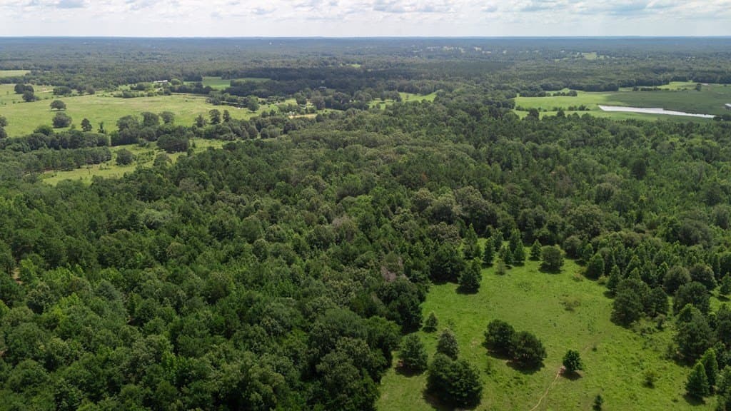 25.77 acres in Wood County - photo 8