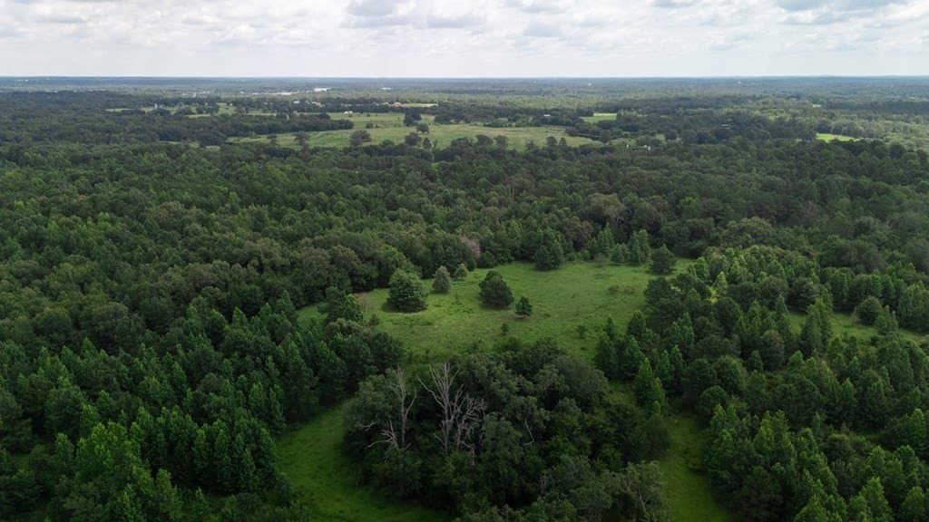 25.77 acres in Wood County - photo 10