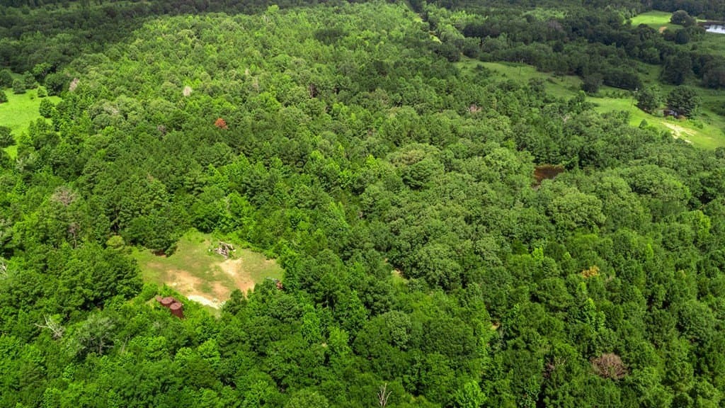 25.77 acres in Wood County - photo 9
